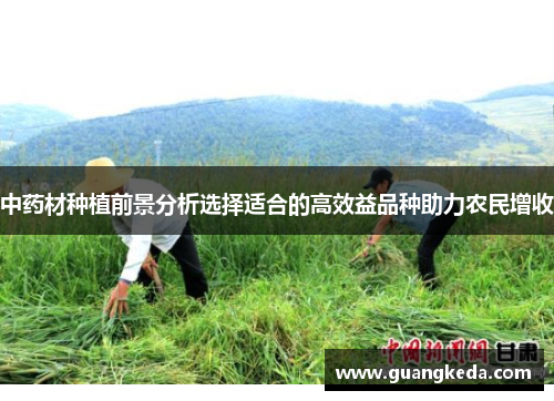 中药材种植前景分析选择适合的高效益品种助力农民增收 中药材种植前景分析选择适合的高效益品种助力农民增收