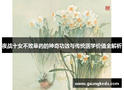 夜战十女不败草药的神奇功效与传统医学价值全解析