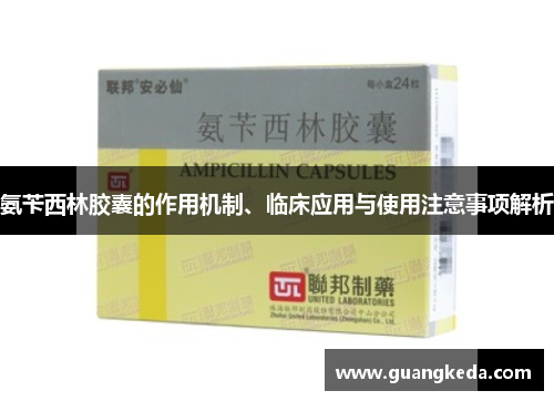 氨苄西林胶囊的作用机制、临床应用与使用注意事项解析 氨苄西林胶囊的作用机制、临床应用与使用注意事项解析